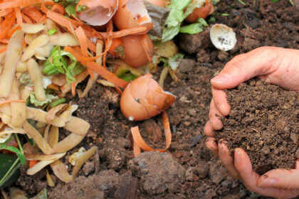 compostagem esposende