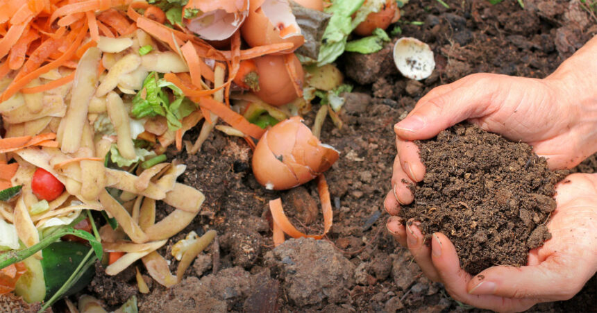 Esposende: Município distribui 700 compostores para envolver população compostagem esposende
