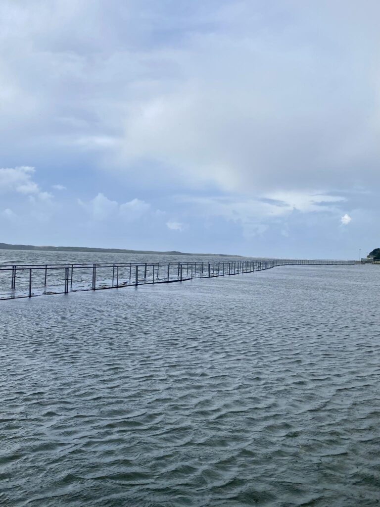 esposende rio cavado 2