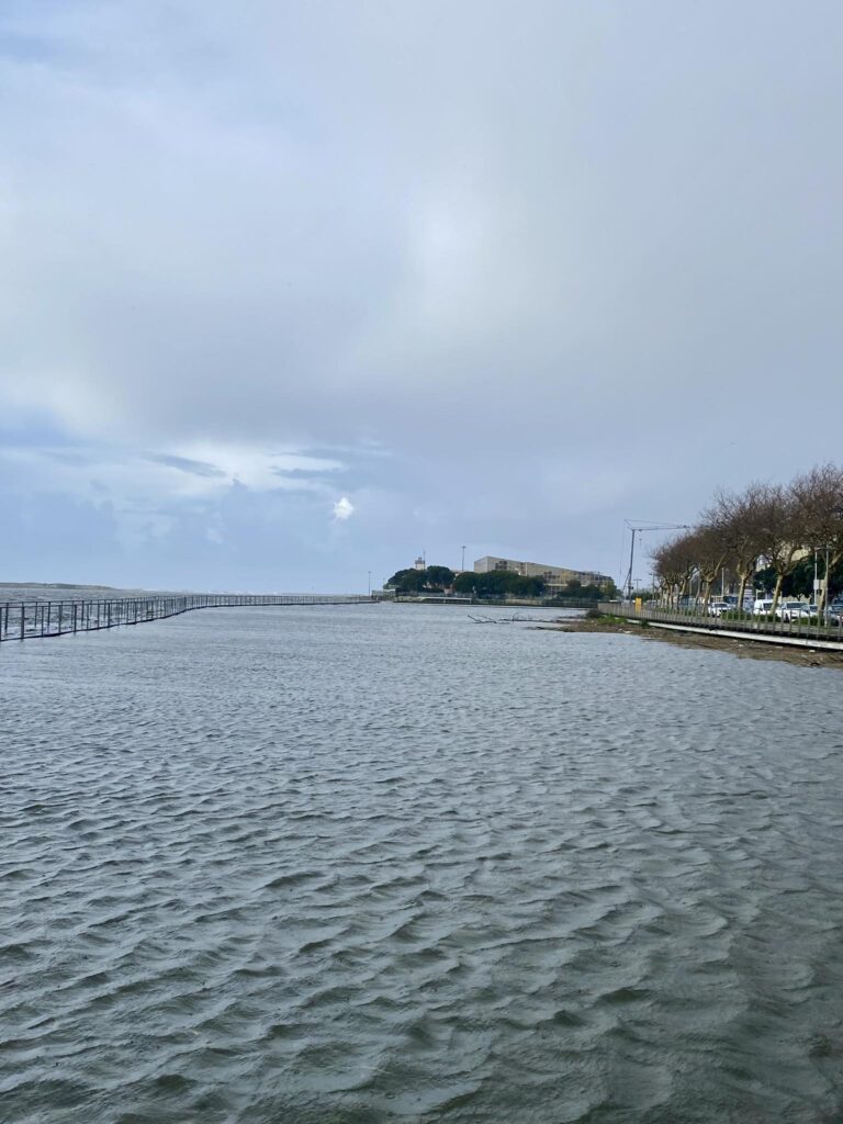 esposende rio cavado