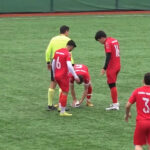 gaivota reanima bola futebol turquia istambul - 1
