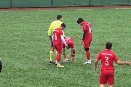 gaivota reanima bola futebol turquia istambul - 1