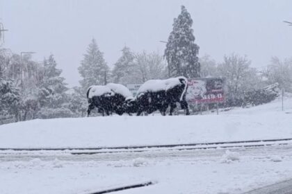 neve montalegre