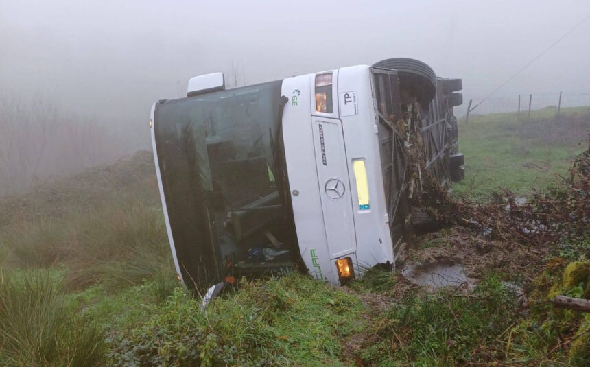 Ponte de Lima: Autocarro da Auto Viação Cura despista-se e tomba em campo