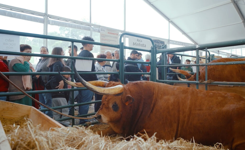 Agro Braga economia