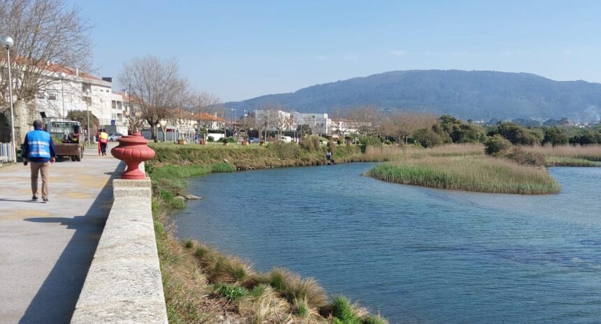 Caminha Pescador de 68 anos perde a vida em tragico acidente no Rio Ancora e1774352512590