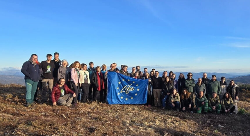 Cimeira do Projeto LIFE em Portugal define novas metas para a proteção do Lobo Ibérico