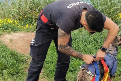 Lourinhã Cão resgatado sem ferimentos após ficar preso em arriba na praia de Vale dos Frades