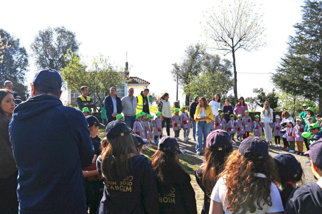 Plantar arvores vila verde 1