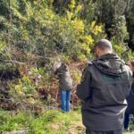Viana Ações de monitorização reforçam prevenção de incêndios rurais no concelho