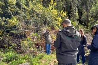 Viana Ações de monitorização reforçam prevenção de incêndios rurais no concelho