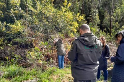Viana Ações de monitorização reforçam prevenção de incêndios rurais no concelho