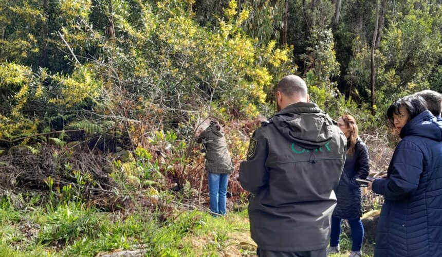 Viana Ações de monitorização reforçam prevenção de incêndios rurais no concelho