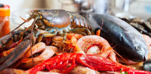 Viana Castelo do Neiva celebra produtos do mar em Mostra Gastronómica