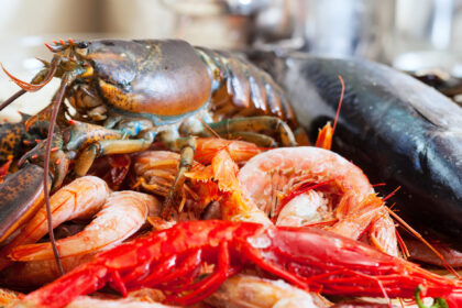 Viana Castelo do Neiva celebra produtos do mar em Mostra Gastronómica