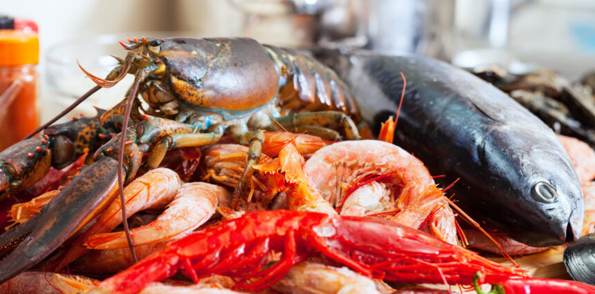 Viana Castelo do Neiva celebra produtos do mar em Mostra Gastronómica