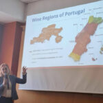 cim do ave vinhos enogastronómica a projeto europeu na Hungria - 3