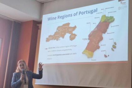 cim do ave vinhos enogastronómica a projeto europeu na Hungria - 3