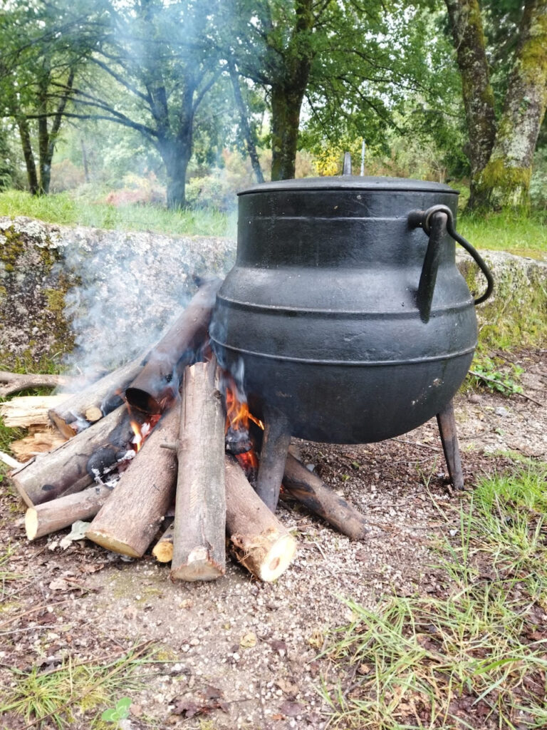 Terras de Bouro: Festival de Caminhadas no Gerês regressa a 28 e 29 de março festival das caminhadas geres terras de bouro 2