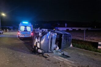 814e1de8 e682 46b4 9aba f7047546de17