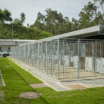 CROA 1 canil barcelos