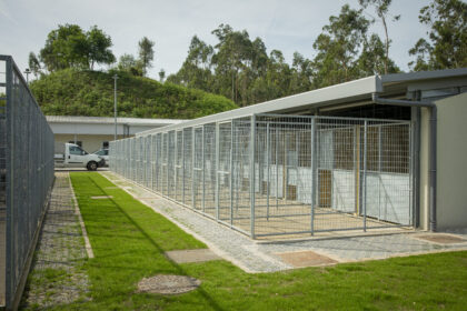 CROA 1 canil barcelos