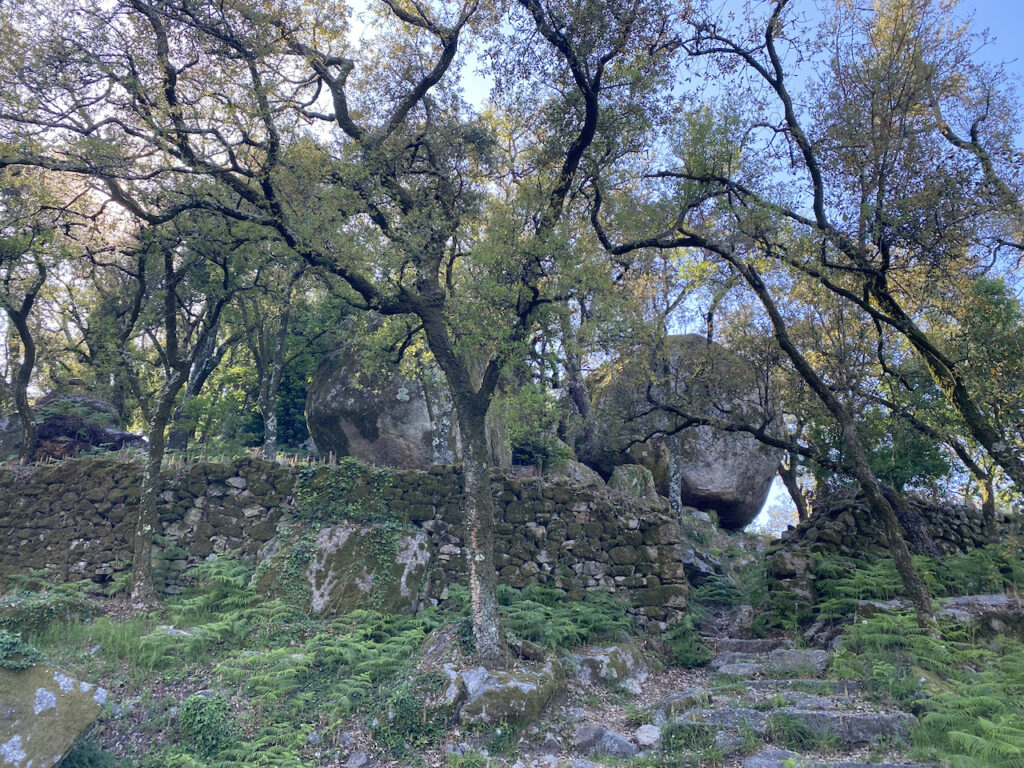 Castelo de Faria - 11