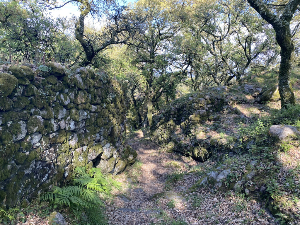 Castelo de Faria - 11