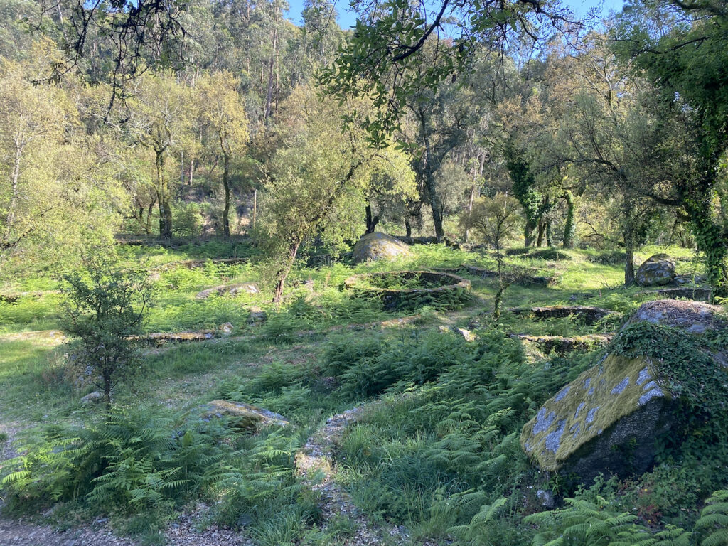 Castelo de Faria - 11