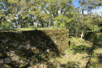 Castelo de Faria - 7
