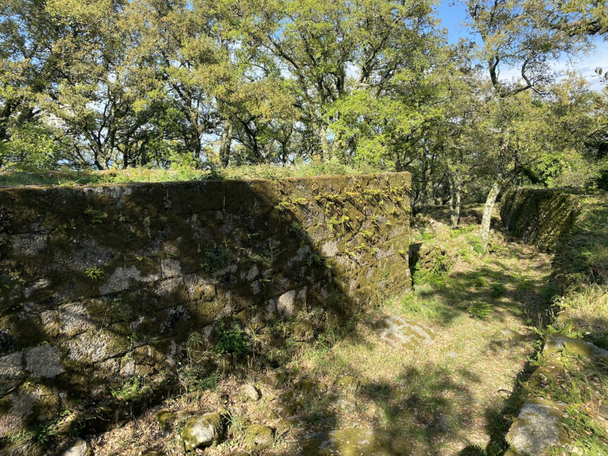 Castelo de Faria - 7
