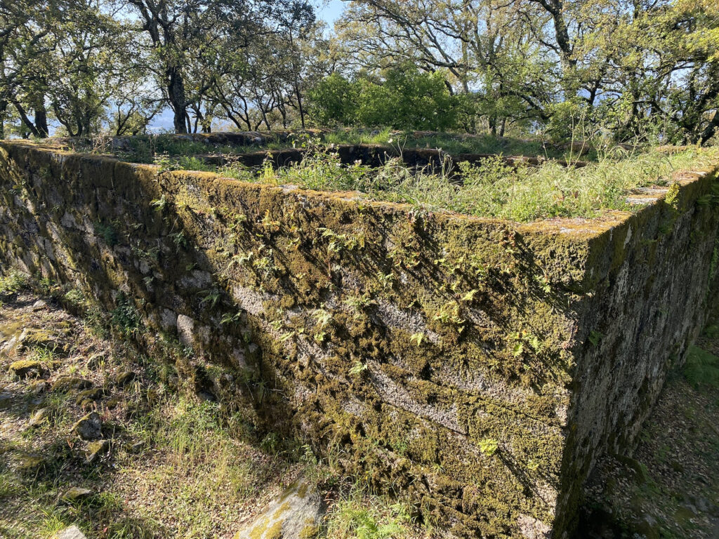 Castelo de Faria - 11