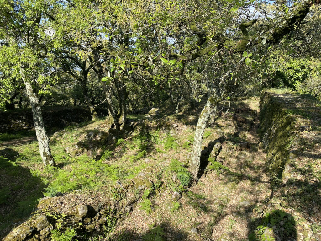 Castelo de Faria - 11