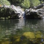 IMG 7090