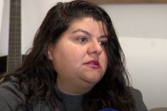 brasil aima imigração