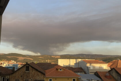 Incendio vale de cambra aveiro - 3