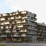 Oporto Metropolitano abre em setembro com 30 milhões de euros e floresta urbana