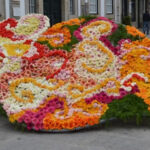 Viana 40 mil flores e esculturas gigantes dão vida ao Viana Florida