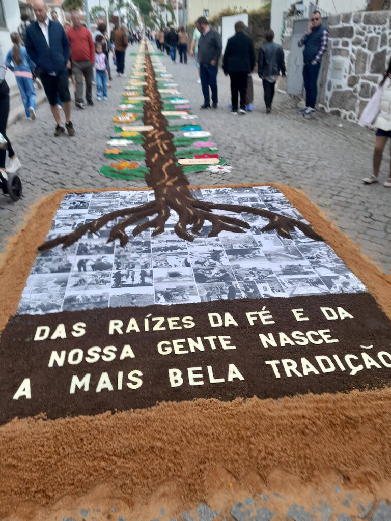 senhor dos enfermos de belinho celebrou 100 anos 1