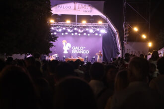 galo branco barcelos noite branca