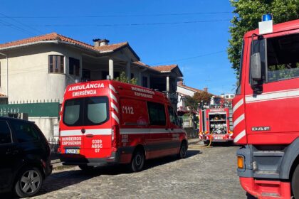 incendio esposende palmeira de faro