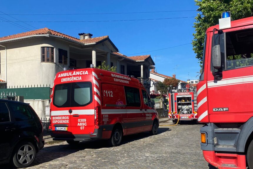 incendio esposende palmeira de faro