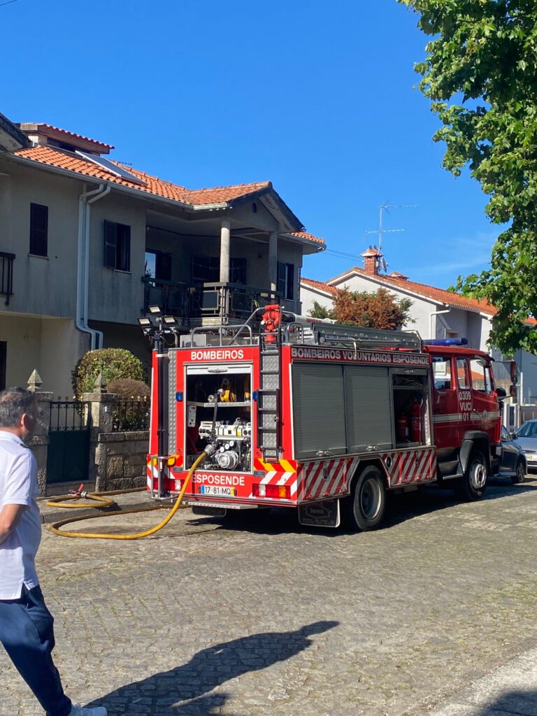 incendio esposende palmeira de faro