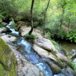 barcelos enxate cascata perelhal natureza lagoa rio - 1