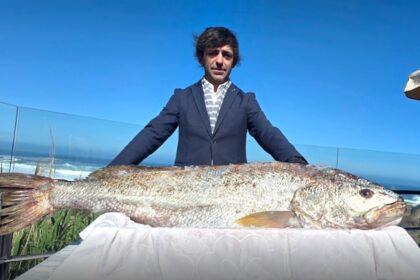 corvina peixe enorme galiza viana