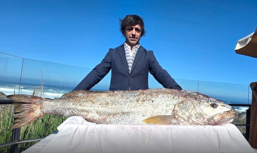 corvina peixe enorme galiza viana