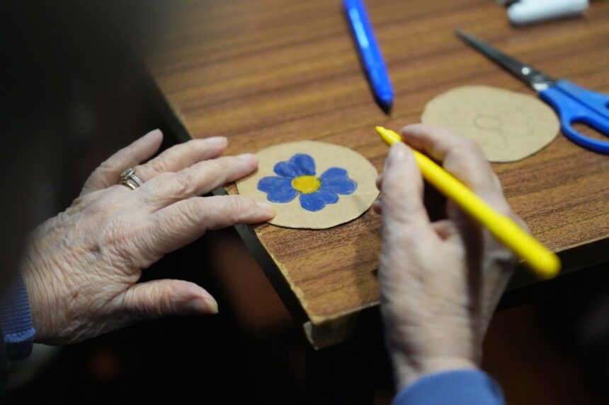 idosos atividades braga ecomov