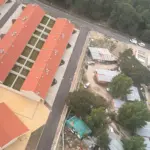 chega viana darque ciganos