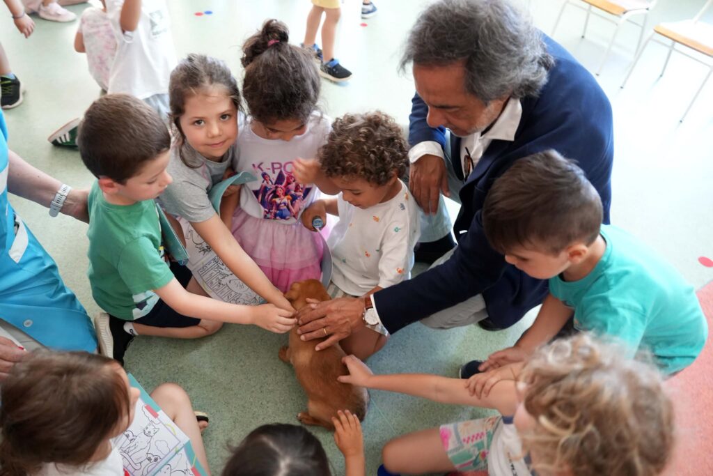 Braga: Projeto 'Escola Amiga dos Animais' envolveu cerca de 3 800 alunos ao longo do ano letivo 735543811 1579931783655928 5770445768103261578 n
