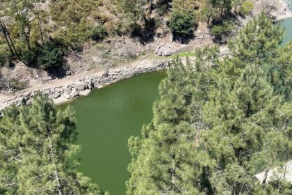 Albufeira de Lindoso contaminada por bloom de cianobacterias toxicas vindo da Galiza e1781183884777